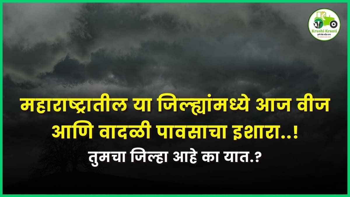 महाराष्ट्रातील या जिल्ह्यांमध्ये आज वीज आणि वादळी पावसाचा इशारा..!
