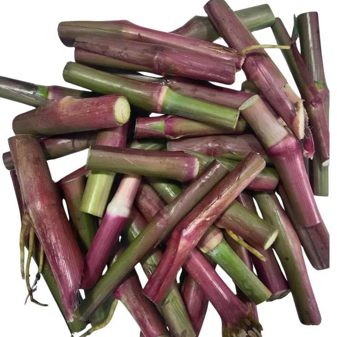 बंगाल हाफ नेपिअर