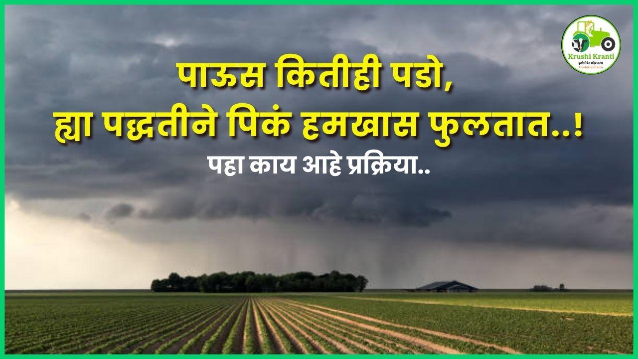 पाऊस कितीही पडो, ह्या पद्धतीने पिकं हमखास फुलतात..!