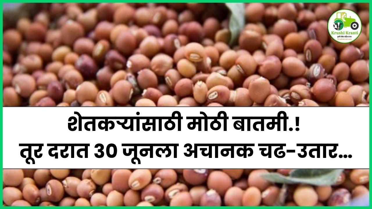 शेतकऱ्यांसाठी मोठी बातमी.! तूर दरात ३० जूनला अचानक चढ-उतार…