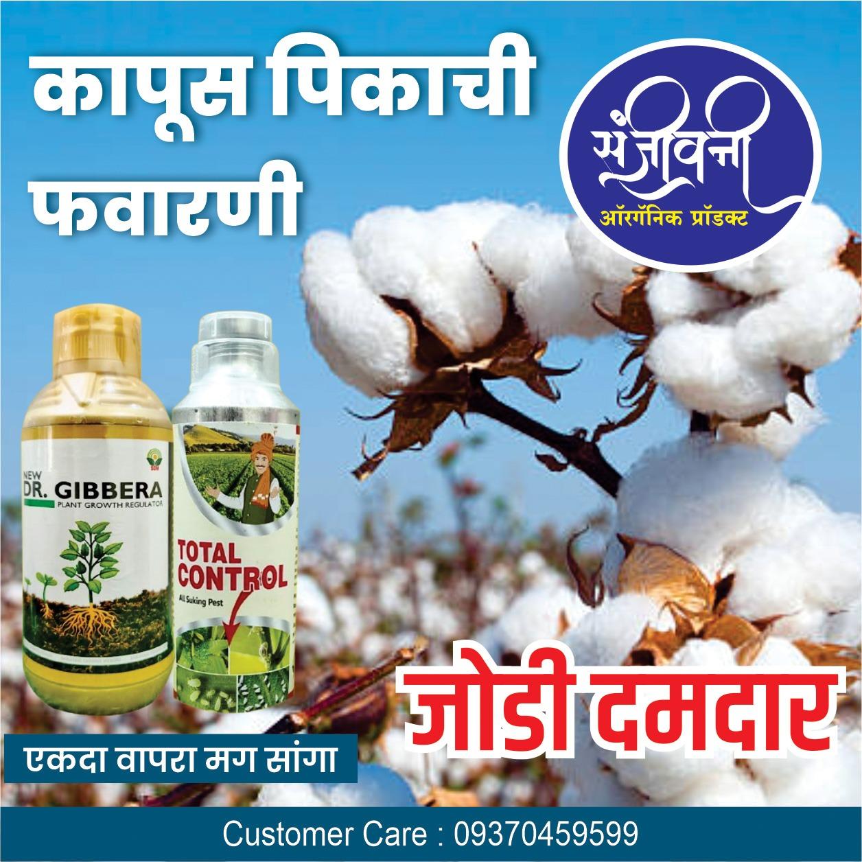 कापूस पिकाची पहिली फवारणी