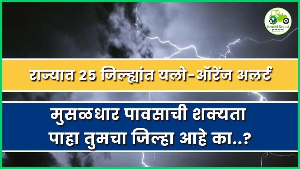 राज्यात २५ जिल्ह्यांत यलो-ऑरेंज अलर्ट; मुसळधार पावसाची शक्यता, पाहा तुमचा जिल्हा आहे का?