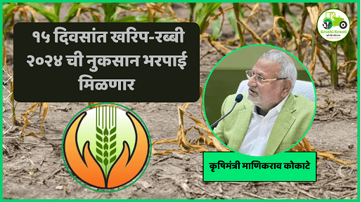 Crop Insurance : पीकविमा भरपाई 15 दिवसांच्या आत; शेतकऱ्यांना दिलासा मिळणार!