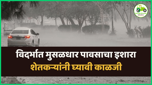 Vidarbha Rain Forecast : विदर्भात मुसळधार पावसाचा इशारा शेतकऱ्यांनी घ्यावी काळजी