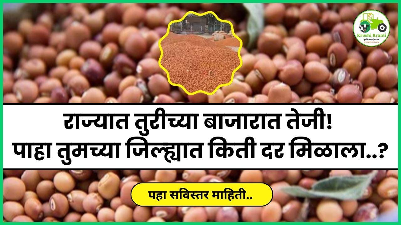 राज्यात तुरीच्या बाजारात तेजी! पाहा तुमच्या जिल्ह्यात किती दर मिळाला..?