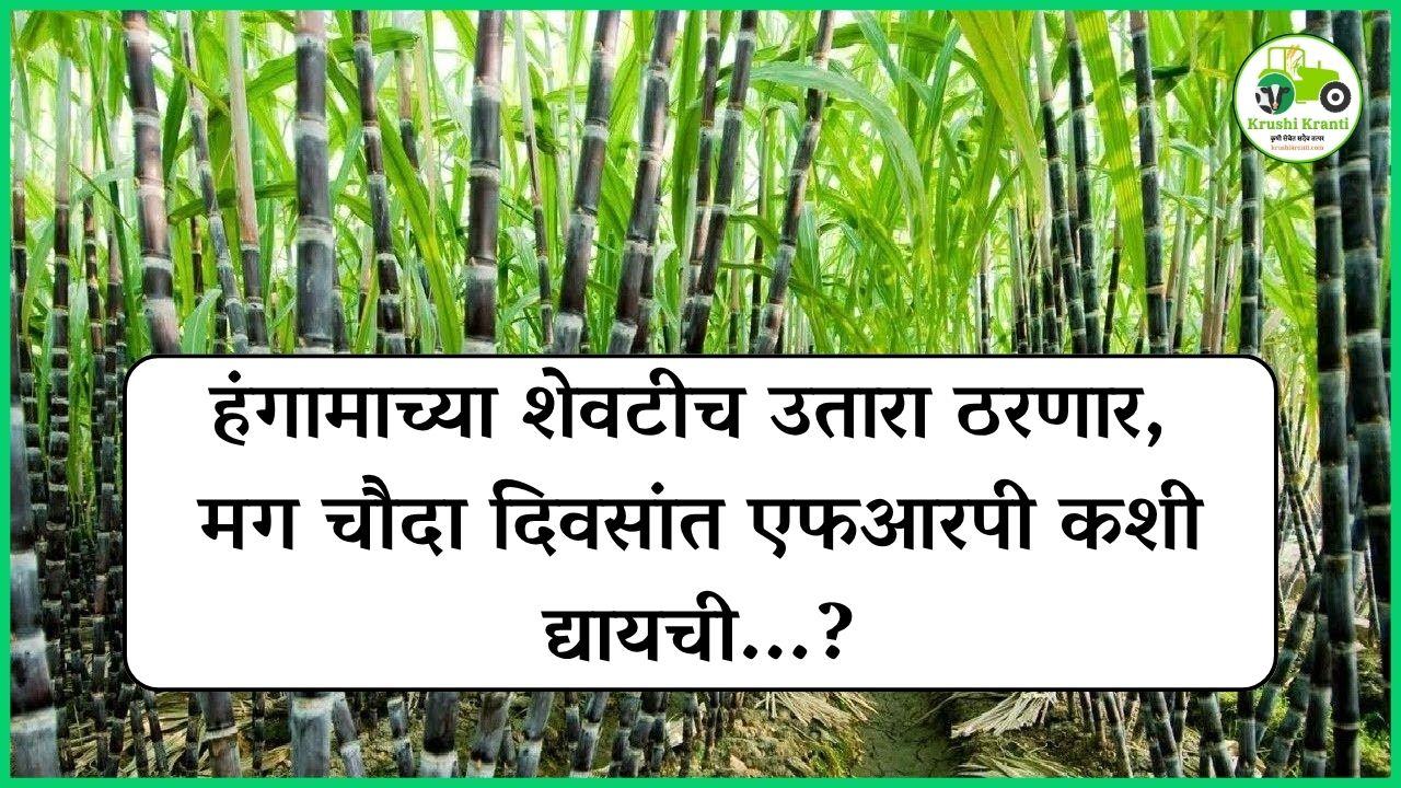 हंगामाच्या शेवटीच उतारा ठरणार, मग चौदा दिवसांत एफआरपी कशी द्यायची...?