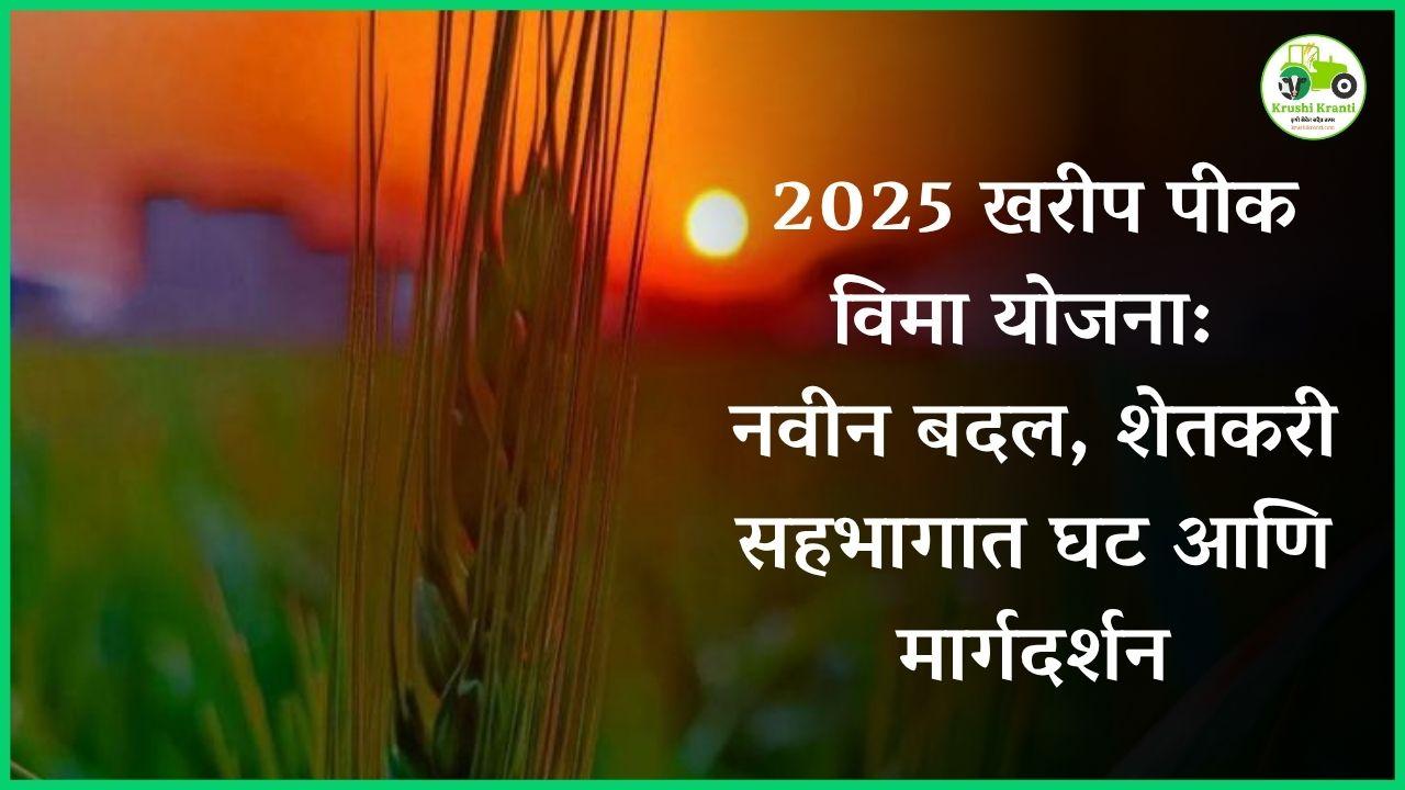 2025 खरीप पीक विमा योजना: नवीन बदल, शेतकरी सहभागात घट आणि मार्गदर्शन