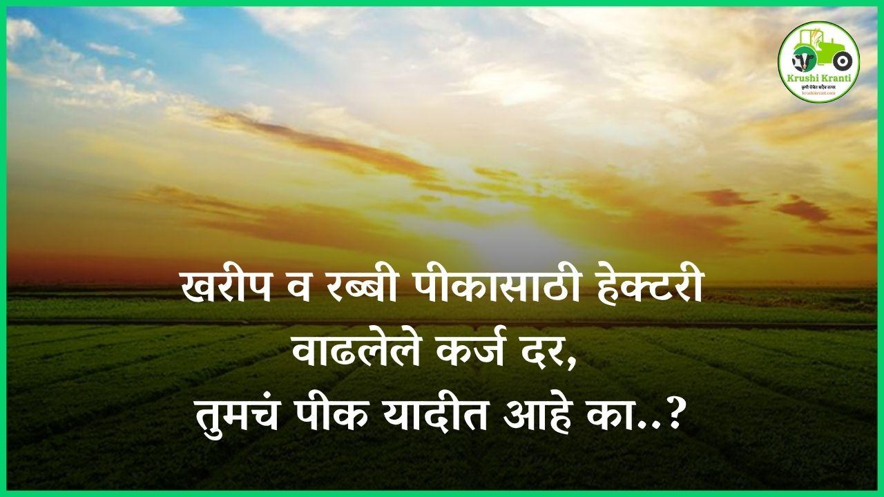 खरीप व रब्बी पीकासाठी हेक्टरी वाढलेले कर्ज दर – तुमचं पीक यादीत आहे का?