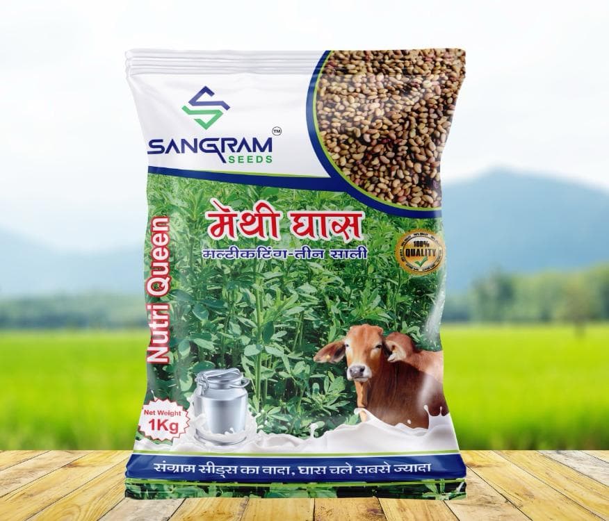 मेथी घास बियाणे मिळेल