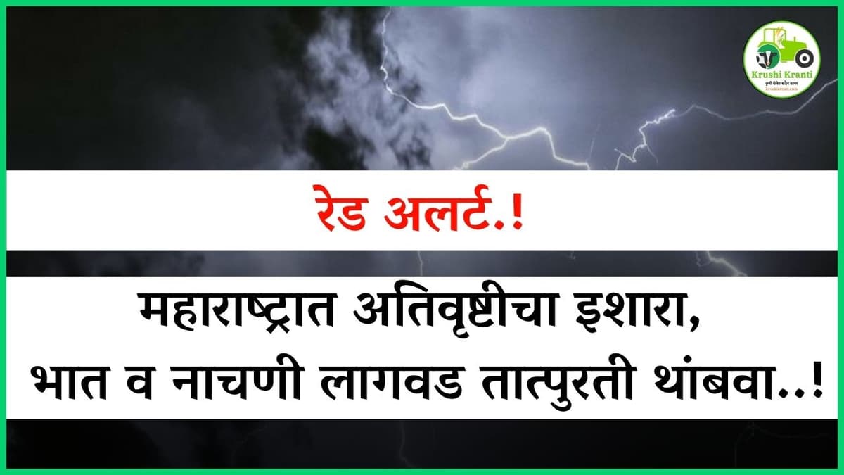 रेड अलर्ट! महाराष्ट्रात अतिवृष्टीचा इशारा – भात व नाचणी लागवड तात्पुरती थांबवा!