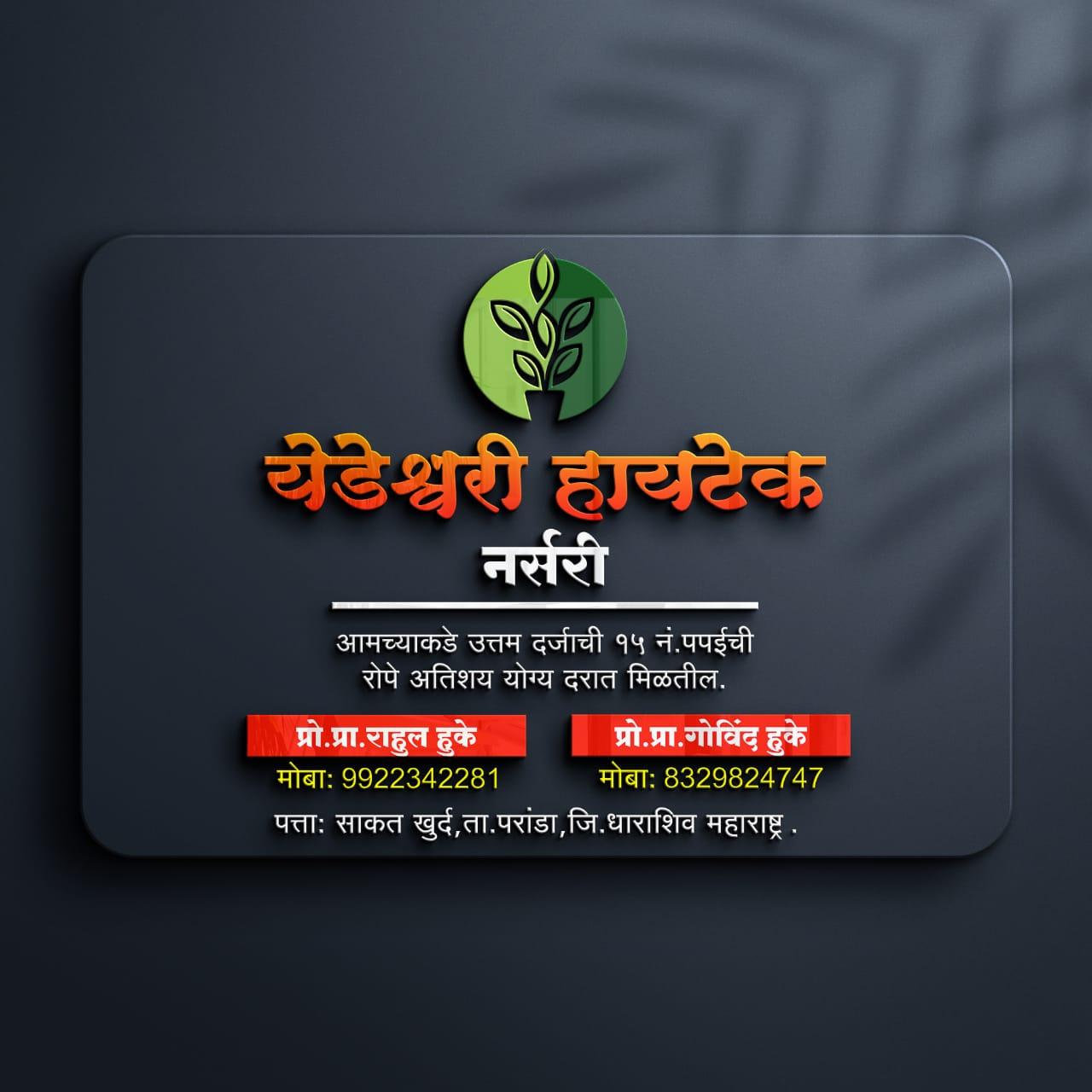 🌱 १५ नंबर पपईची दर्जेदार रोपे – फक्त येडेश्वरी हायटेक नर्सरी 🌱