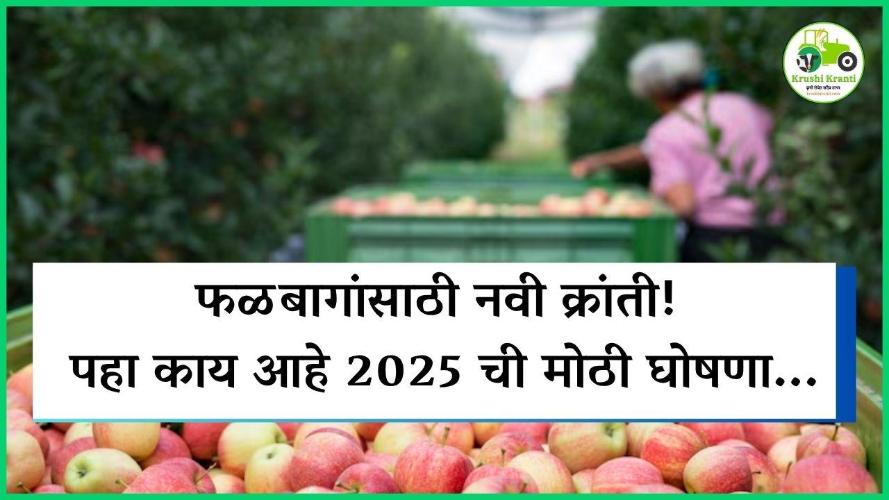 फळबागांसाठी नवी क्रांती! पहा काय आहे 2025 ची मोठी घोषणा...
