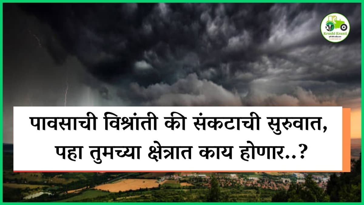 पावसाची विश्रांती की संकटाची सुरुवात, पहा तुमच्या क्षेत्रात काय होणार..?