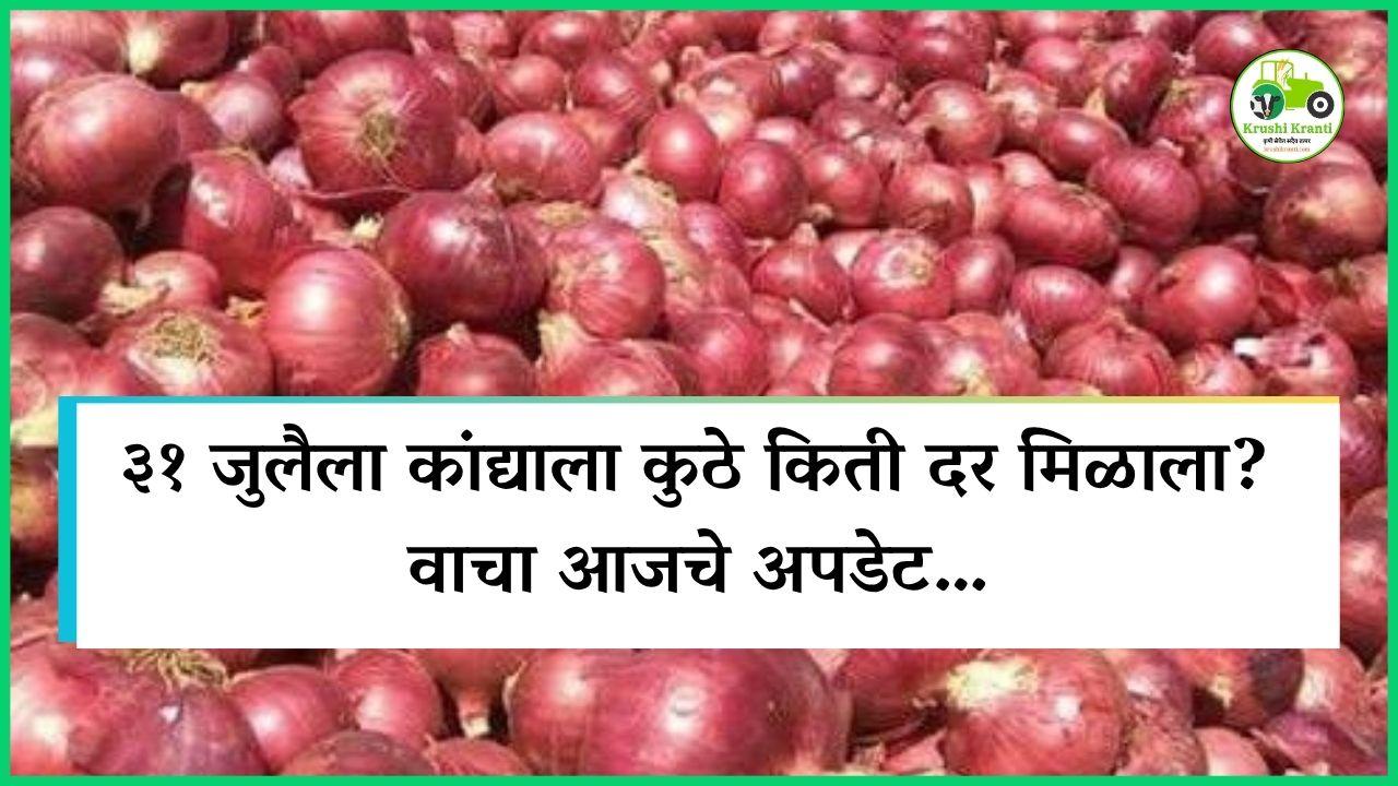 ३१ जुलैला कांद्याला कुठे किती दर मिळाला? वाचा आजचे अपडेट…