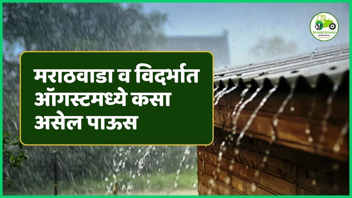 IMD Rain Prediction: राज्यात ऑगस्टमध्ये पावसात खंड? मराठवाडा, विदर्भात चिंतेची लाट