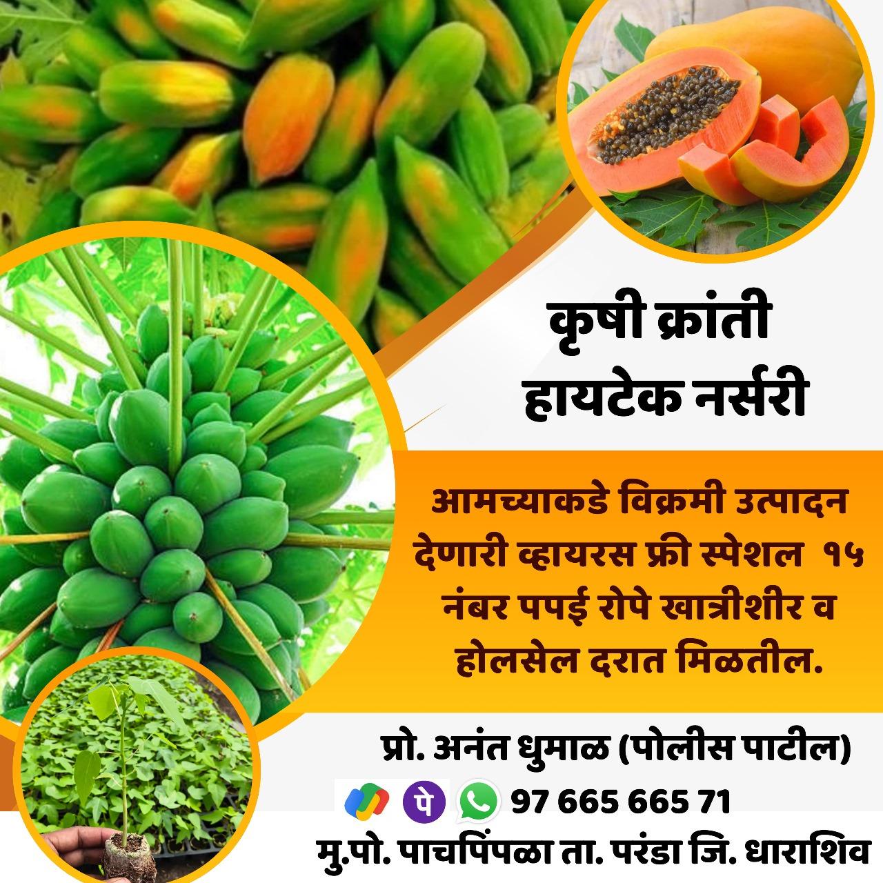 कृषी क्रांती  हायटेक नर्सरी