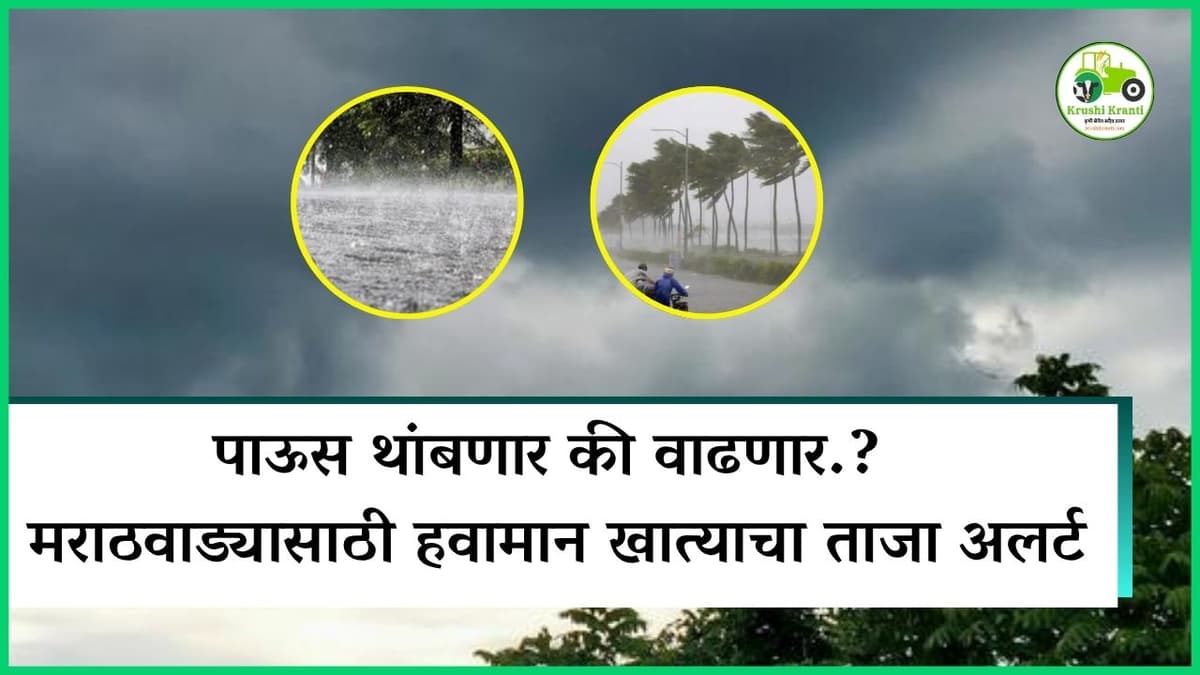 पाऊस थांबणार की वाढणार? मराठवाड्यासाठी हवामान खात्याचा ताजा अलर्ट..