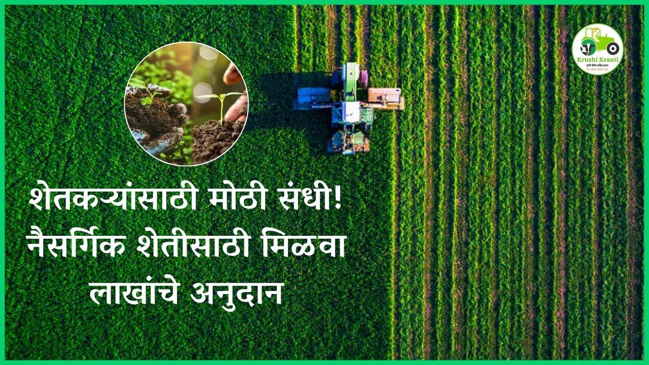 government scheme: नैसर्गिक शेतीसाठी मिळवा लाखांचे अनुदान