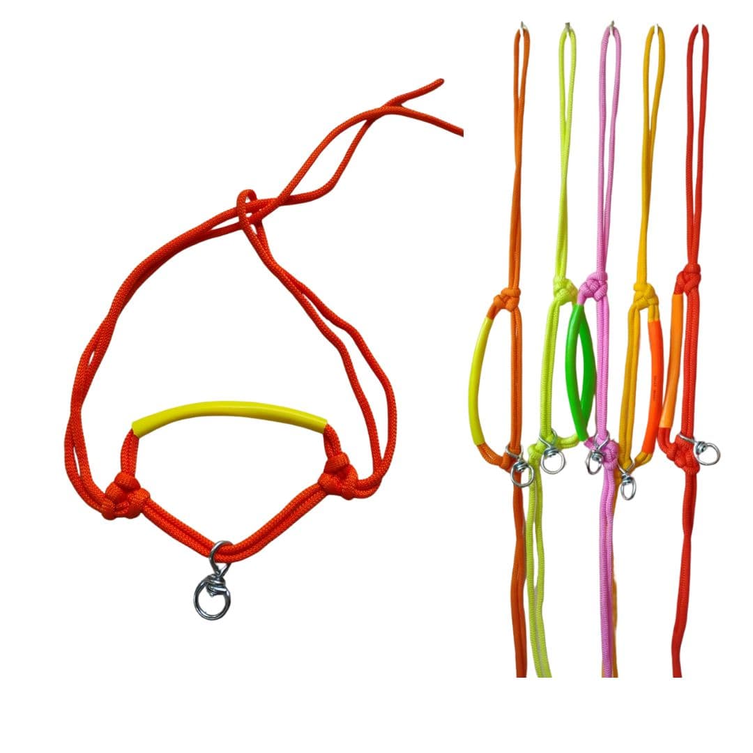 मोरखी (2 नग)