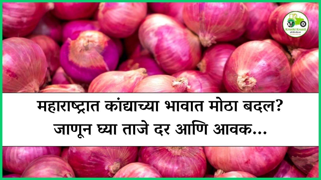 महाराष्ट्रात कांद्याच्या भावात मोठा बदल? जाणून घ्या ताजे दर आणि आवक...