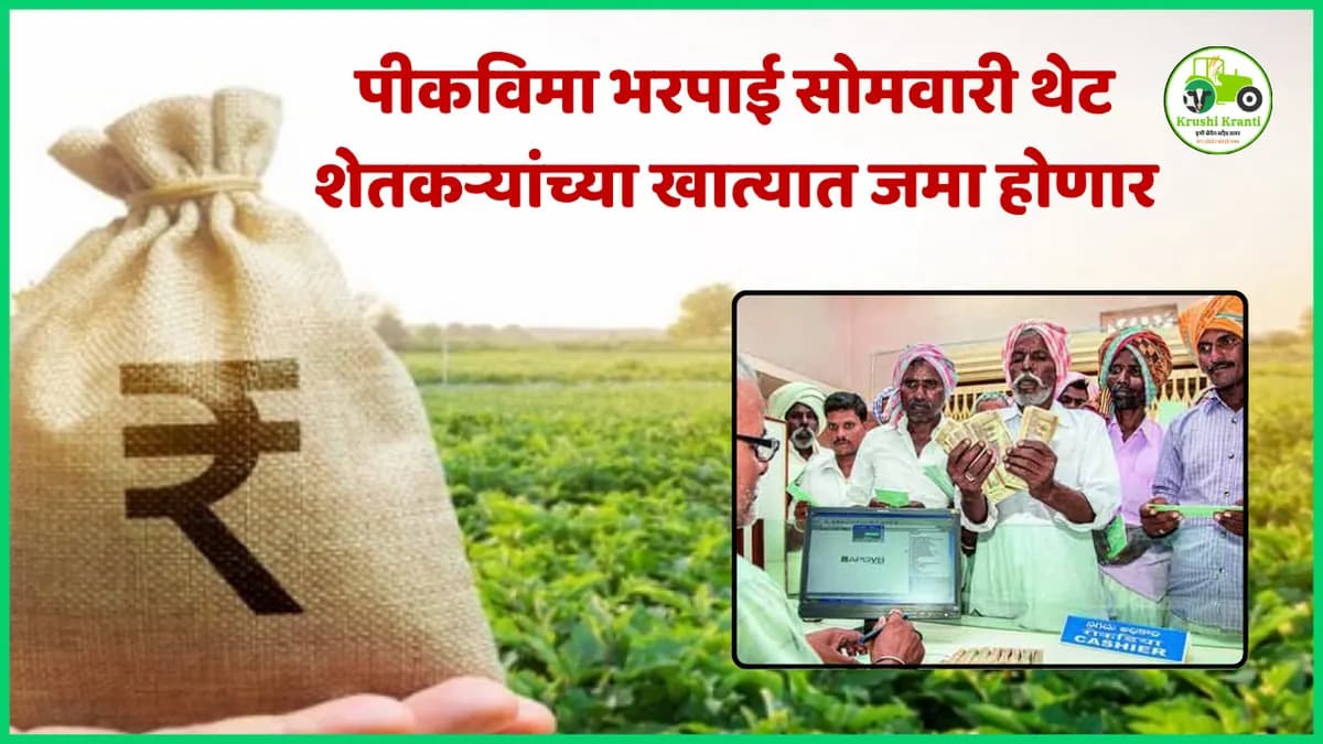 पीकविमा भरपाई सोमवारी थेट शेतकऱ्यांच्या खात्यात जमा; पहा सर्व सविस्तर माहिती 