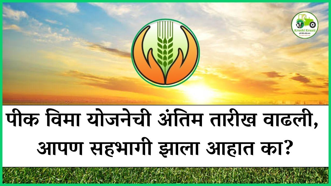 पीक विमा योजनेची अंतिम तारीख वाढली, आपण सहभागी झाला आहात का?