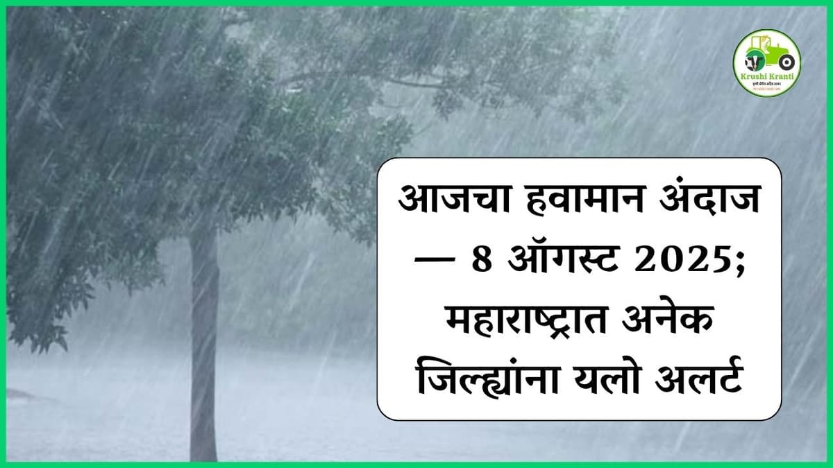 आजचा हवामान अंदाज — 8 ऑगस्ट 2025; महाराष्ट्रात अनेक जिल्ह्यांना यलो अलर्ट