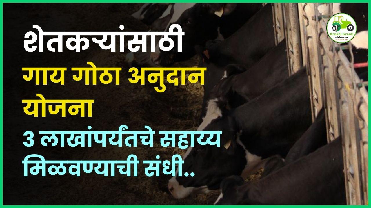 शेतकऱ्यांसाठी गाय गोठा अनुदान योजना, ३ लाखांपर्यंतचे सहाय्य मिळवण्याची संधी..
