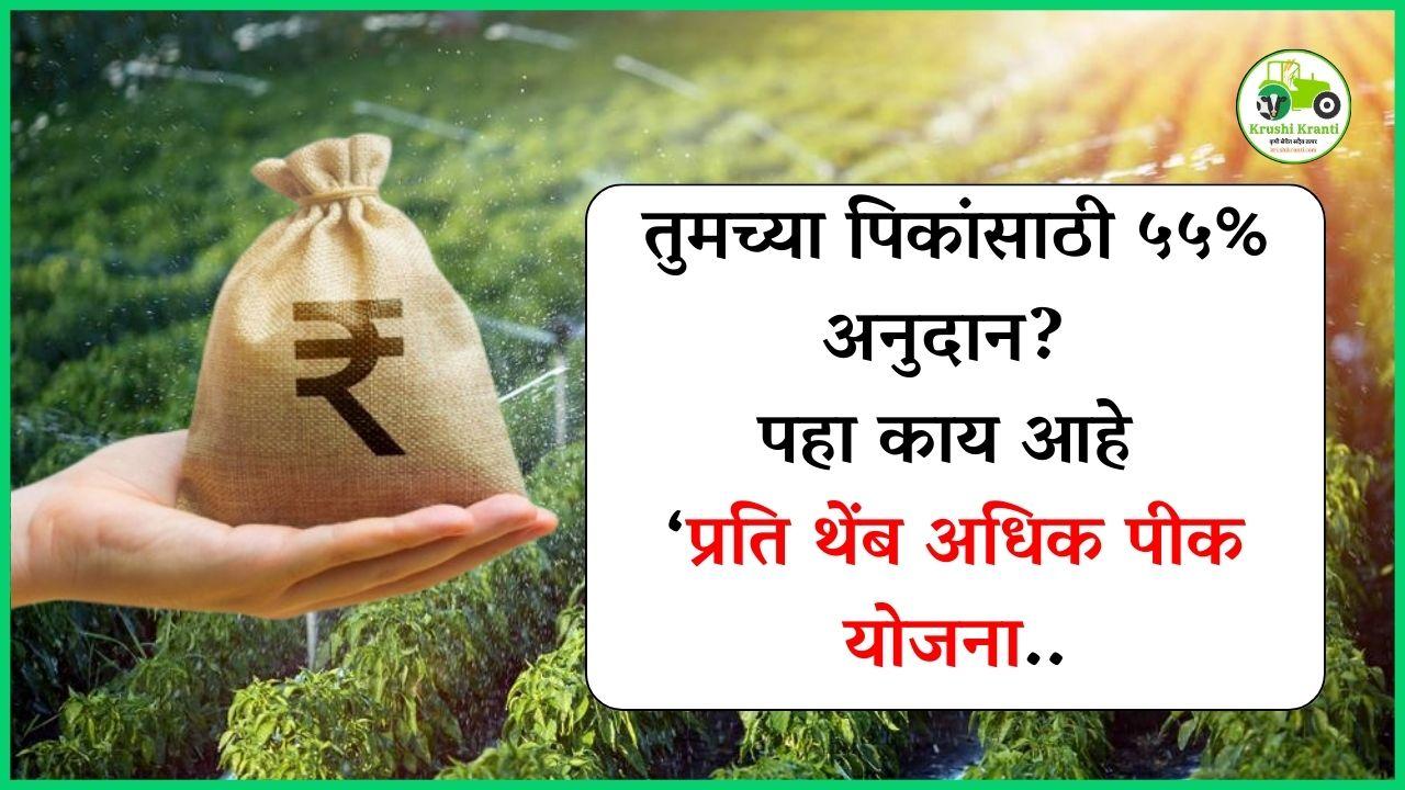 तुमच्या पिकांसाठी ५५% अनुदान? पहा काय आहे ‘प्रति थेंब अधिक पीक योजना..