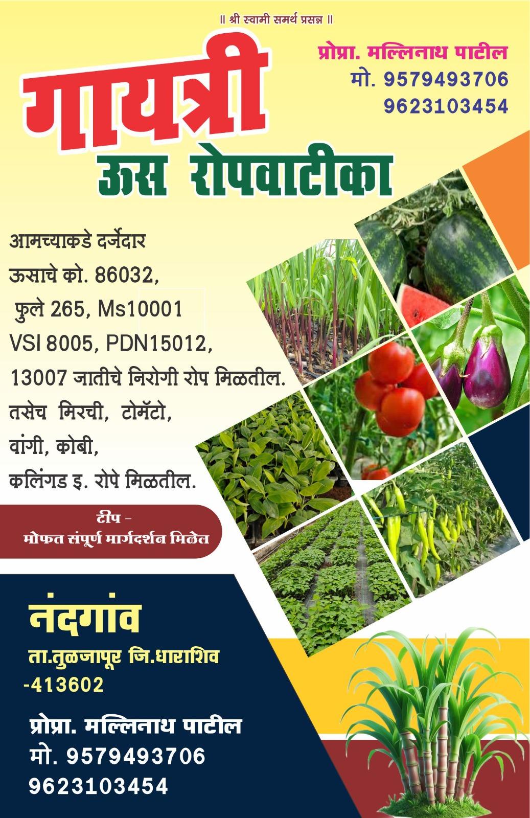 गायत्री ऊस रोपवाटिका