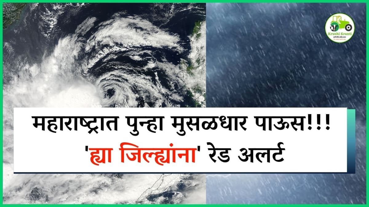 Maharashtra Rain Alert: महाराष्ट्रात पुन्हा मुसळधार पाऊस!!! 'ह्या जिल्ह्यांना' रेड अलर्ट