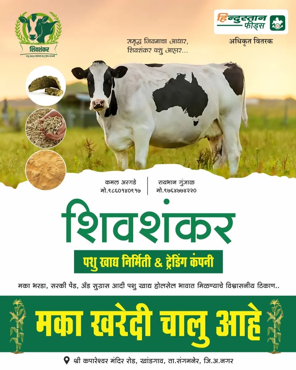 मका खरेदी केली जाईल