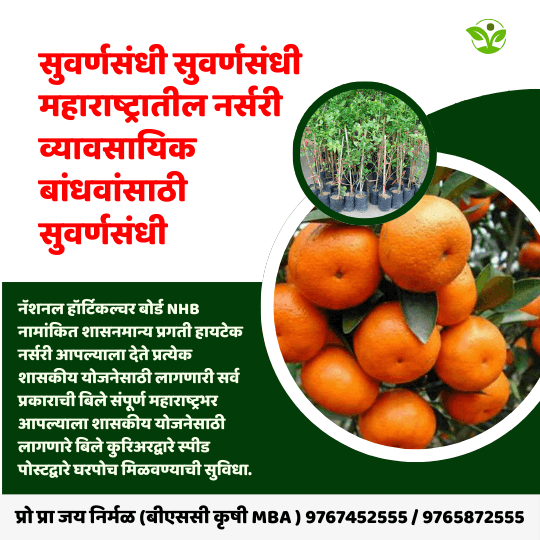 सुवर्णसंधी सुवर्णसंधी महाराष्ट्रातील नर्सरी व्यावसायिक बांधवांसाठी सुवर्णसंधी