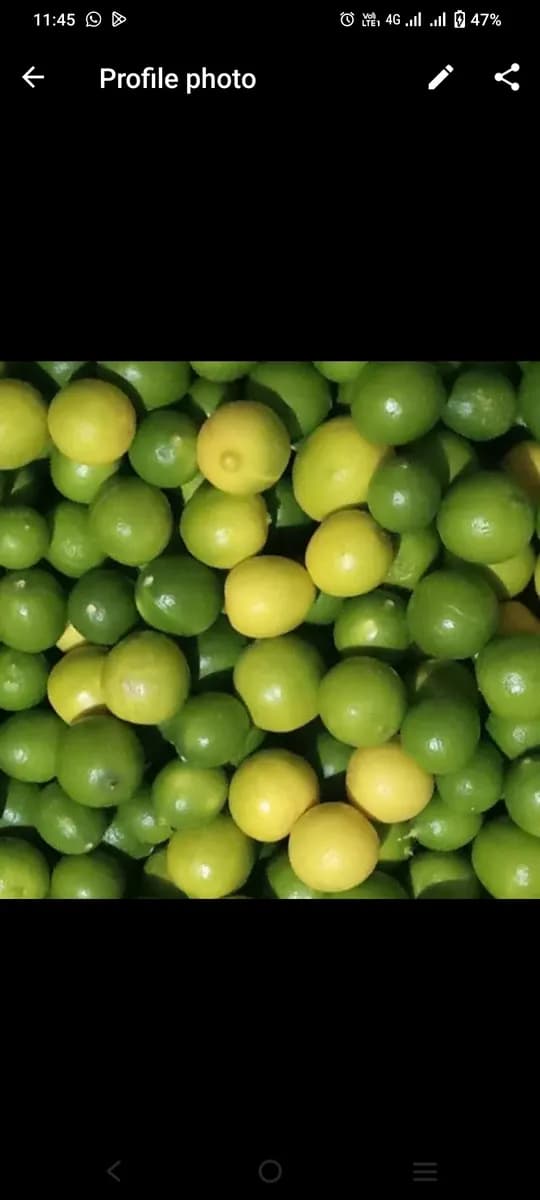 लिंबू विकणे आहे