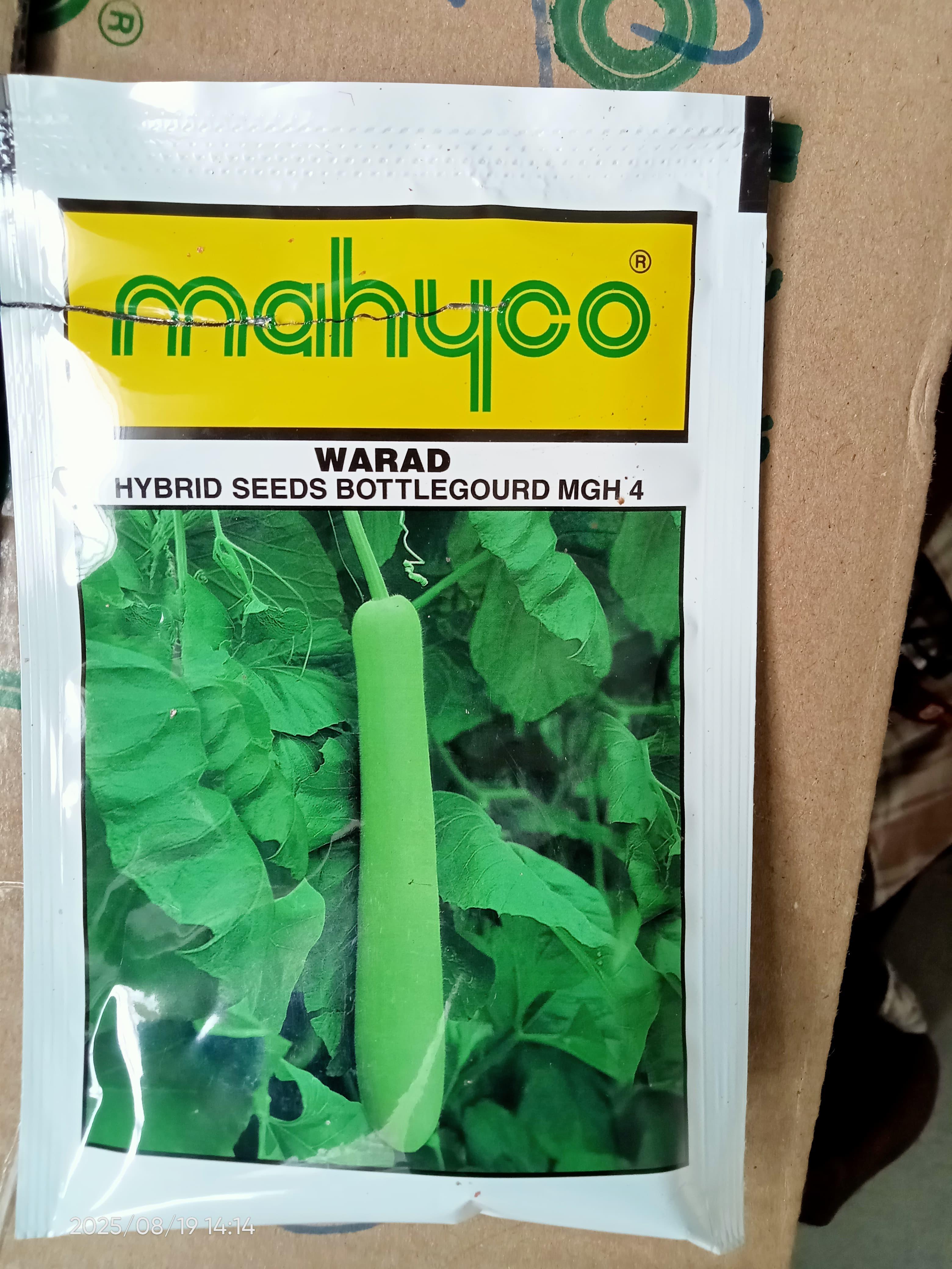 दूधी भोपळा विकणे आहे