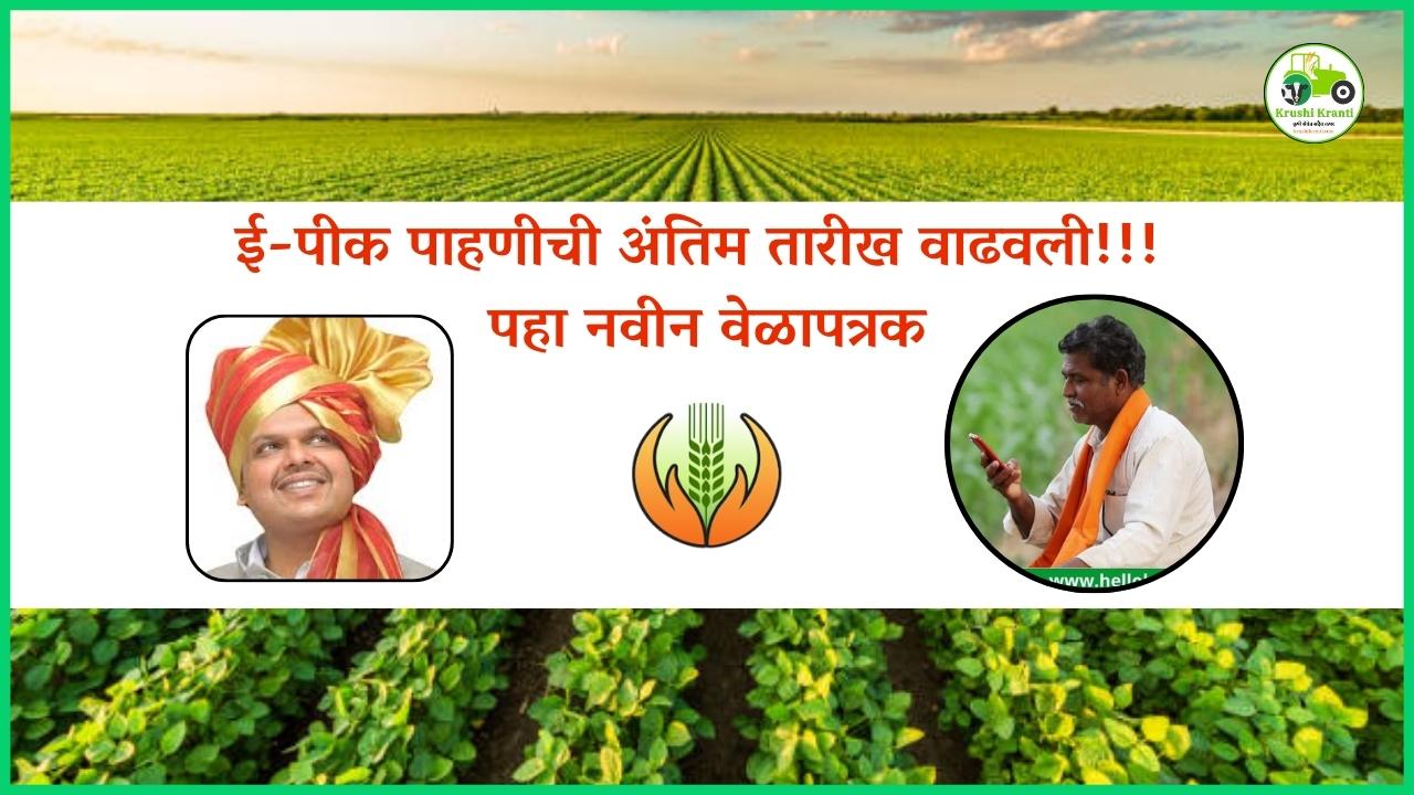 ई-पीक पाहणीची अंतिम तारीख वाढवली!!! पहा नवीन वेळापत्रक | e pik pahani last date update