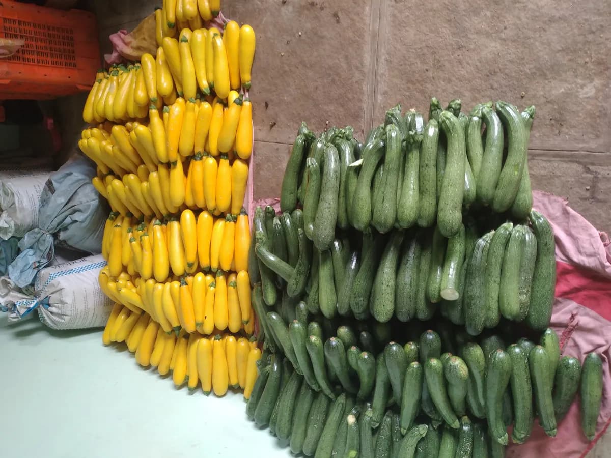 पिवळी आणि हिरवी झुकीनि विकणे आहे