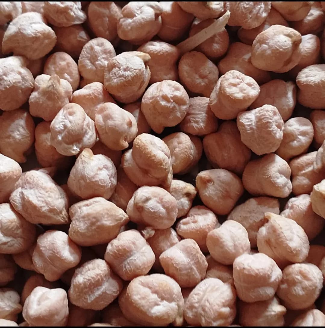 हरभरा U2 सुपर विकणे आहे