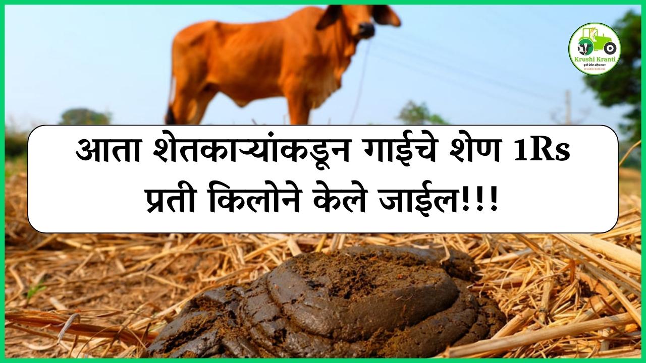 आता शेतकाऱ्यांकडून गाईचे शेण 1Rs प्रती किलोने केले जाईल!!!