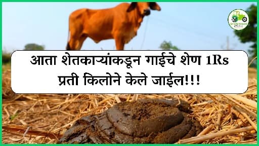 आता शेतकाऱ्यांकडून गाईचे शेण 1Rs प्रती किलोने केले जाईल!!!