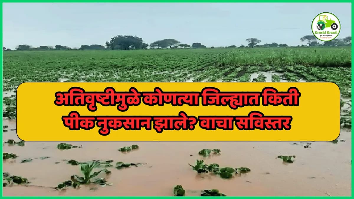 अतिवृष्टीमुळे कोणत्या जिल्ह्यात किती पीक नुकसान झाले? वाचा सविस्तर
