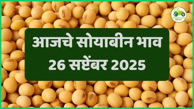 Soybean Market Rates : आजचे सोयाबीन बाजारभाव