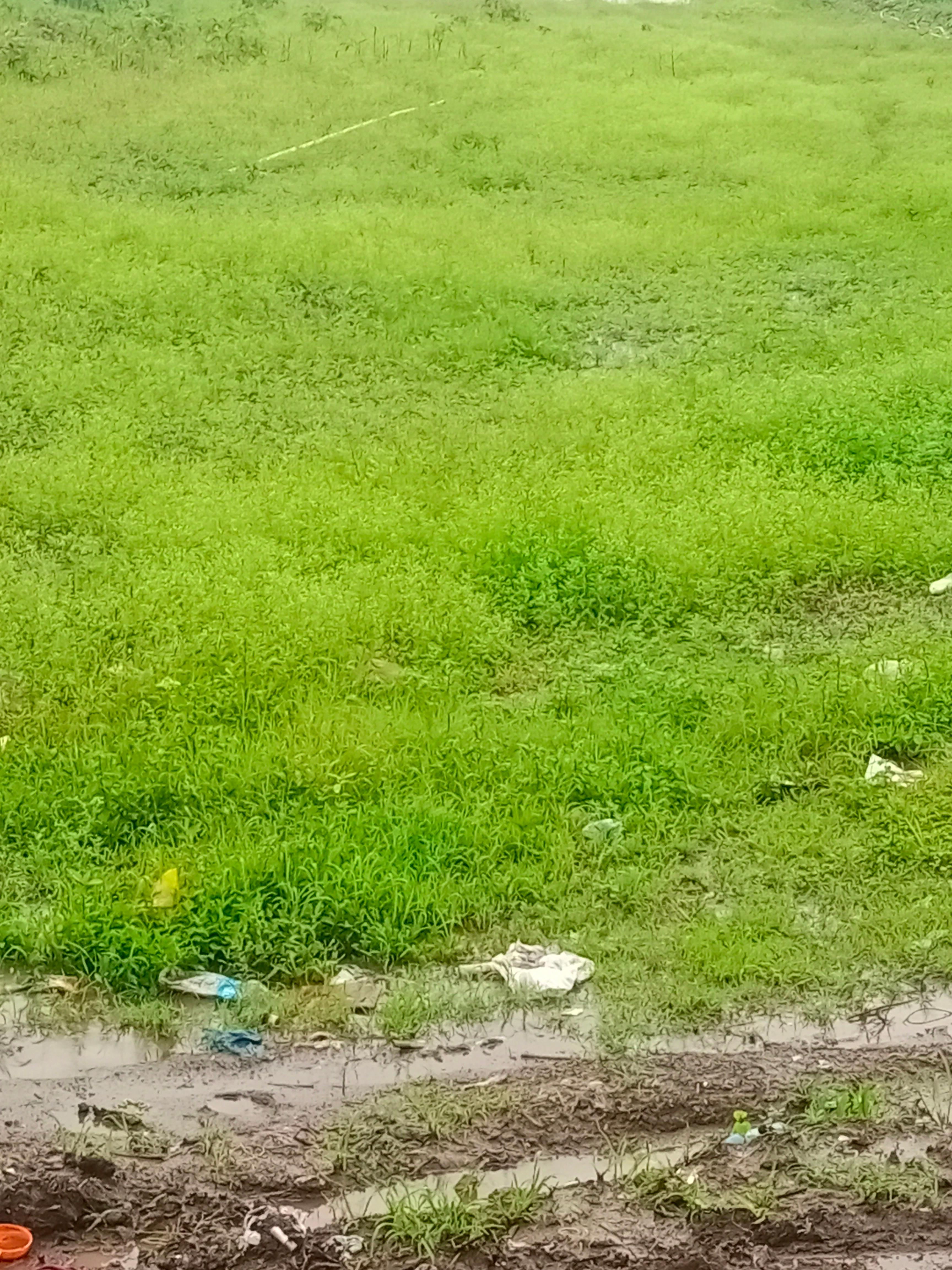 7 एकर जमीन विकणे आहे 