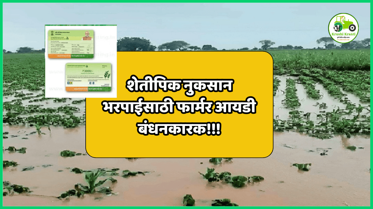 शेतीपिक नुकसान भरपाईसाठी फार्मर आयडी बंधनकारक!!!