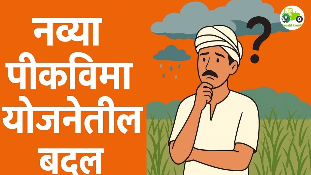 नव्या पीकविमा योजनेतील बदल : शेतकऱ्यांना अडचणी, फायदा कोणाला?