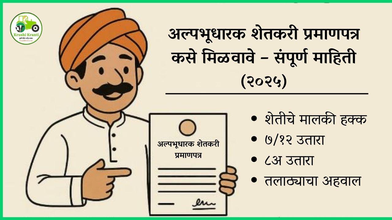 अल्पभूधारक शेतकरी प्रमाणपत्र कसे मिळवावे | ऑनलाइन व ऑफलाइन अर्ज प्रक्रिया २०२५