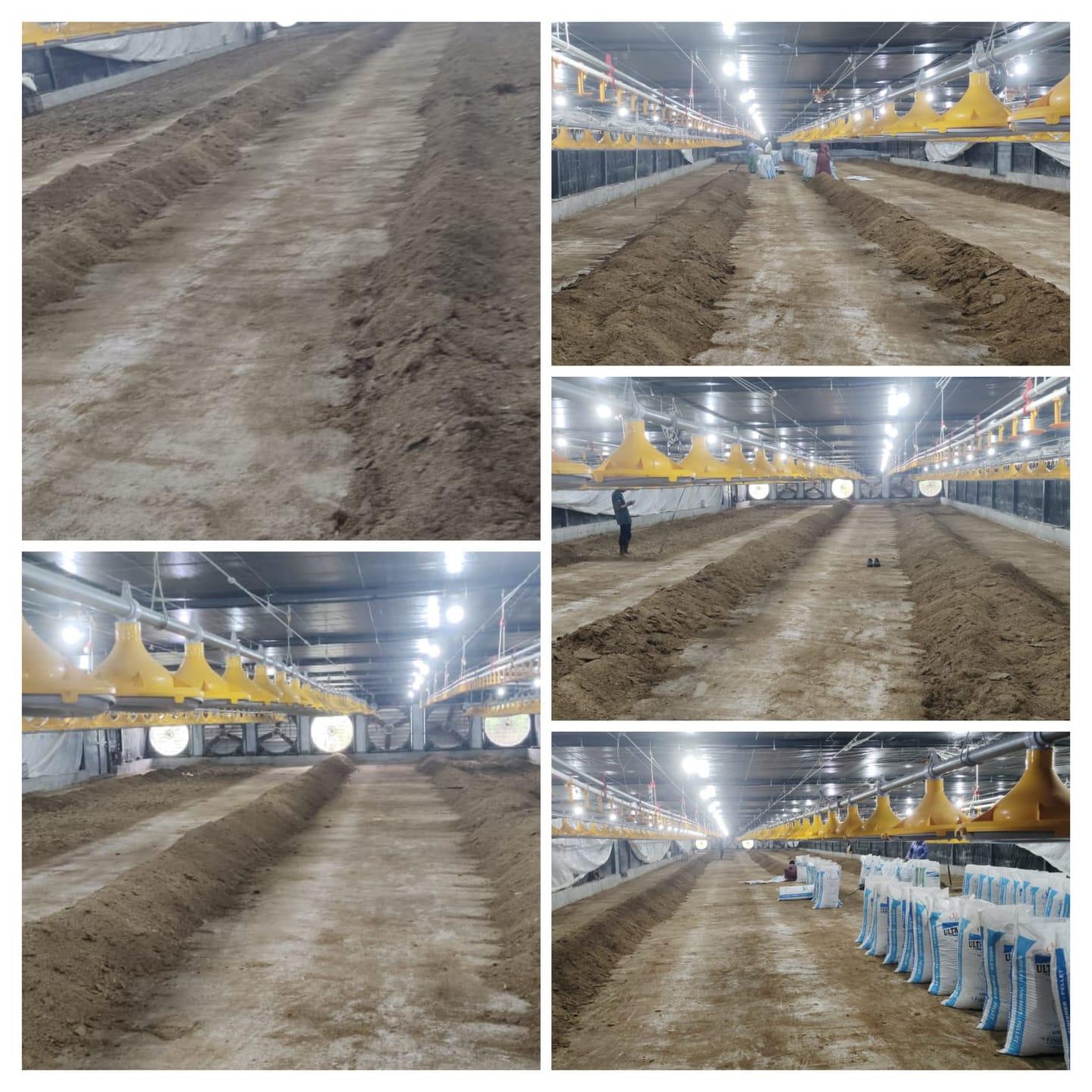 कोंबडी खत विकणे आहे - अहमदनगर