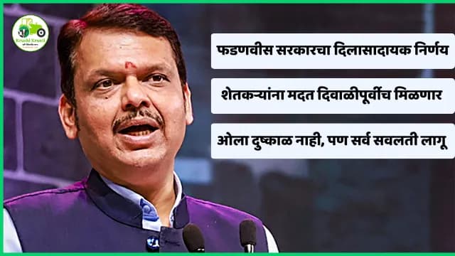 शेतकऱ्यांना दिवाळीपूर्वी मोठा दिलासा; फडणवीस सरकारचा महत्त्वपूर्ण निर्णय