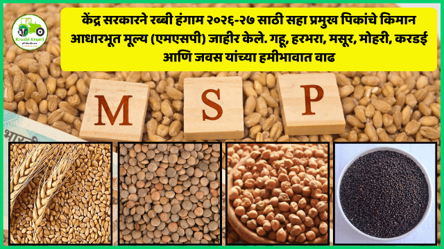 शेतकऱ्यांना केंद्र सरकारचा दिलासा : रब्बी हंगाम २०२६-२७ साठी सहा पिकांच्या एमएसपीत वाढ