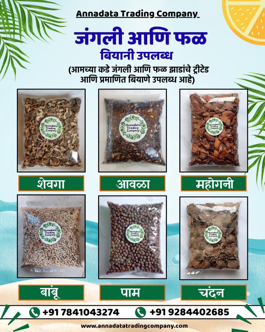 सर्व प्रकारच्या फळझाडांची व जंगली झाडांची बियाणे मिळतील